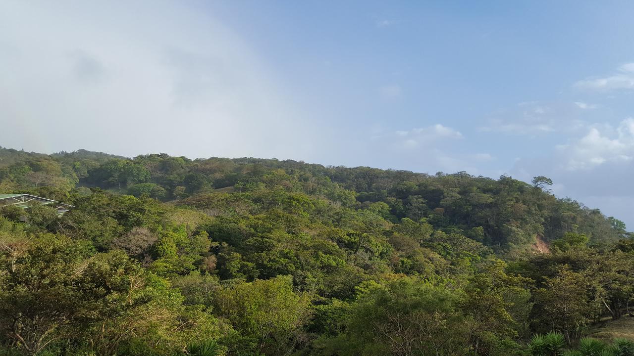 Que Tuanis Hostel Monteverde Zewnętrze zdjęcie